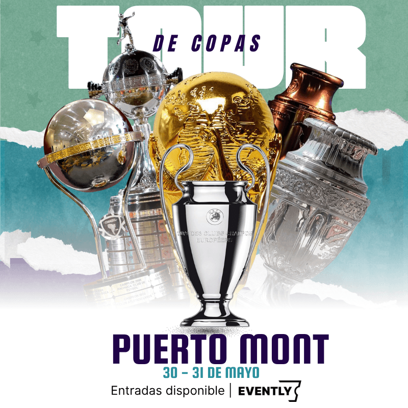 Tour de Copas -  Puerto Montt image}